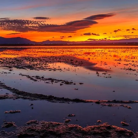Mar Del Delta *